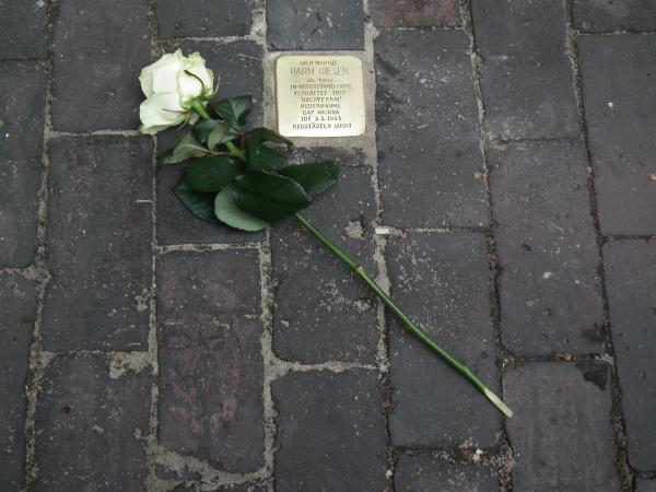 Graf-Johann-Straße 24