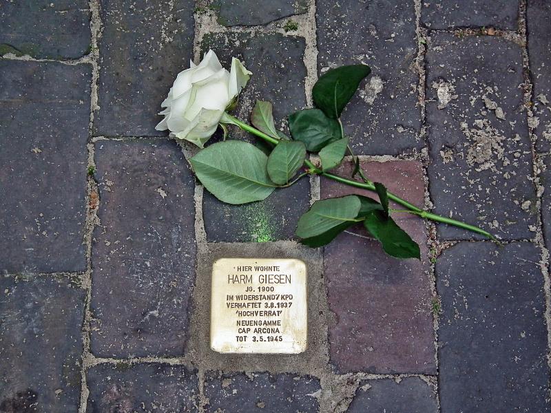 Graf-Johann-Strae 24